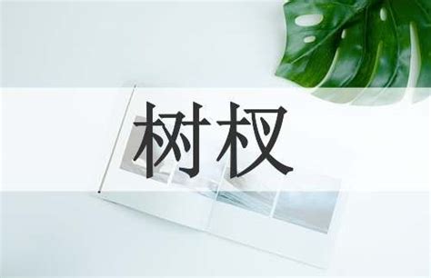 树杈|树杈 meaning